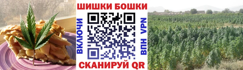 Canna-Cookies марихуана  Саранск 